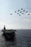 24"x36" Gallery Poster, aircraft carrier USS Abraham Lincoln (CVN 72) air power demo