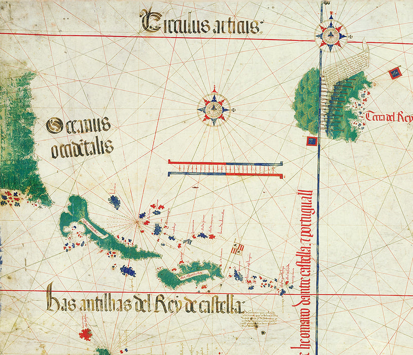 24"x36" Gallery Poster, Cantino planisphere, world map 1502