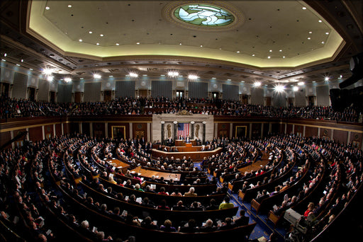 24"x36" Gallery Poster, 2011 State of the Union fisheye
