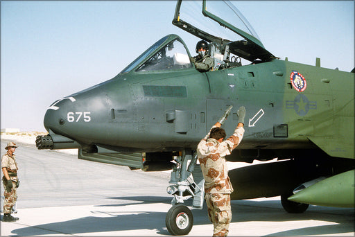 24"x36" Gallery Poster, 353rd Tactical Fighter Squadron A-10 Thunderbolt II warthog