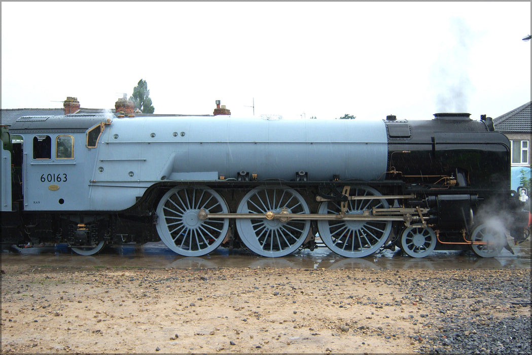 24"x36" Gallery Poster, 60163 Tornado locomotive steam engine train side view