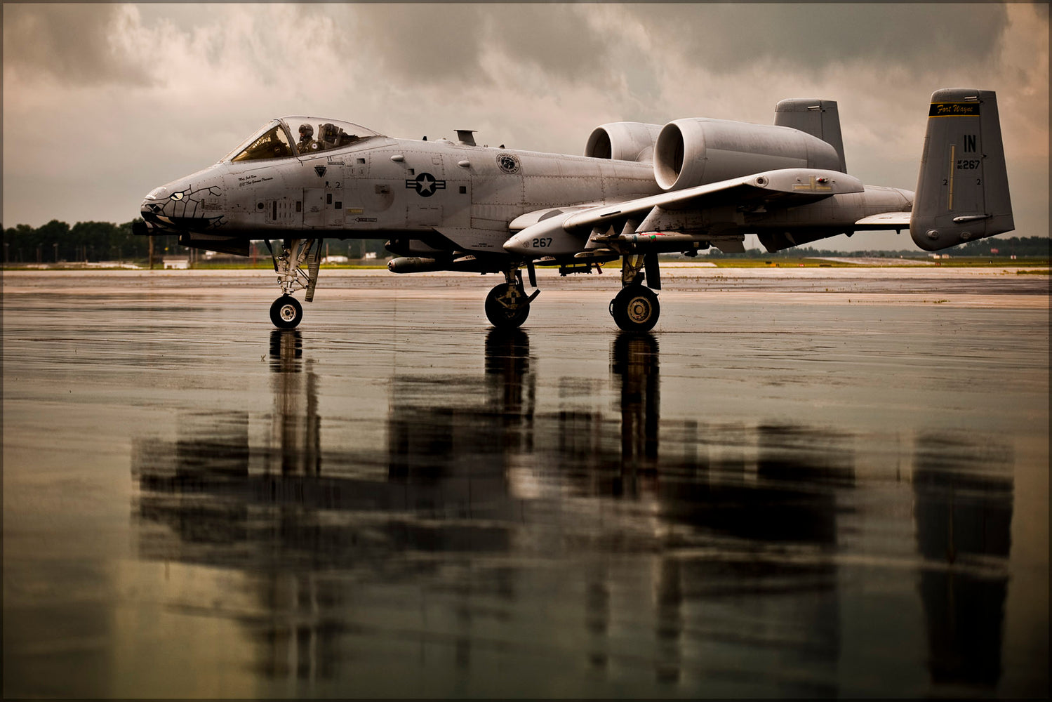 24"x36" Gallery Poster, A-10C thunderbolt ii Warthog  163rd Fighter Squadron