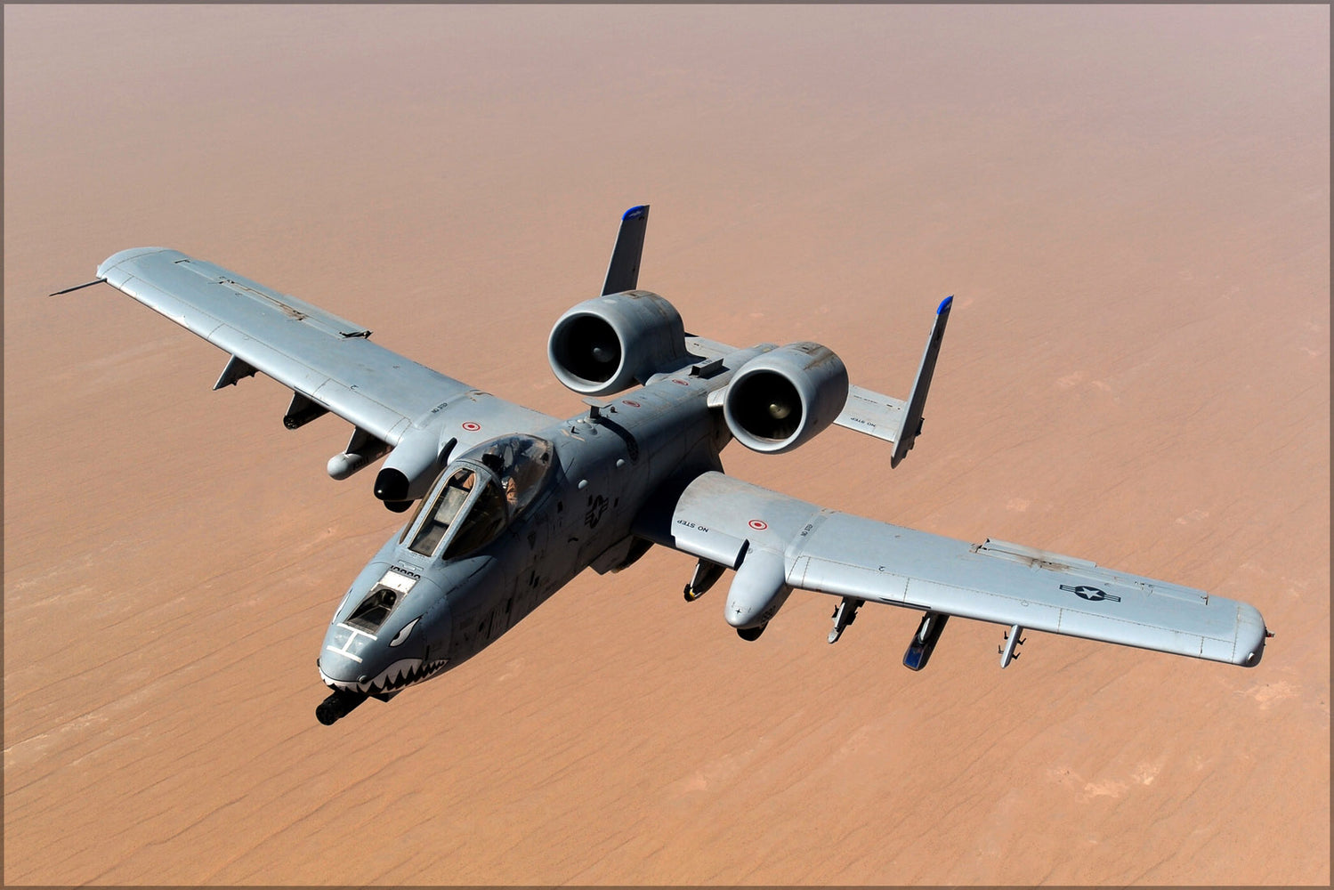 24"x36" Gallery Poster, A-10 Thunderbolt II, Warthog assigned to the 74th Fighter Squadron