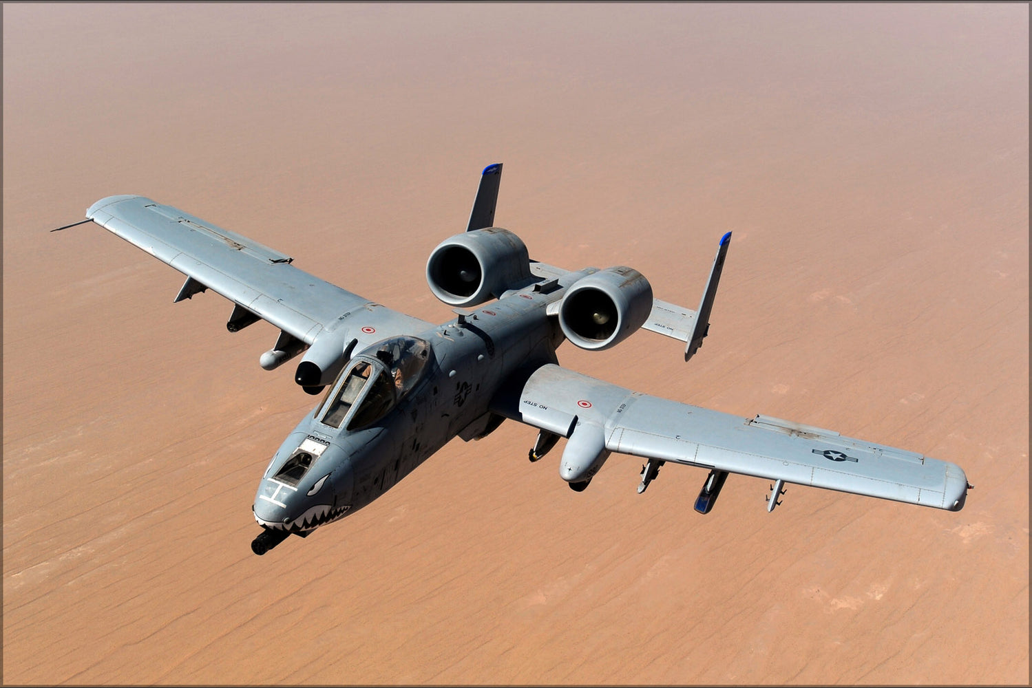 24"x36" Gallery Poster, A-10 Thunderbolt II warthog, 74th Fighter Squadron