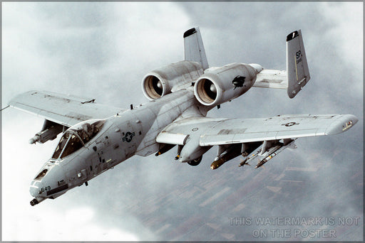 24"x36" Gallery Poster, A-10 Thunderbolt II warthog