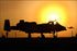 24"x36" Gallery Poster, A-10 Thunderbolt II warthog at sunset