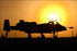 24"x36" Gallery Poster, A-10 Thunderbolt II warthog silhouetted against the sun