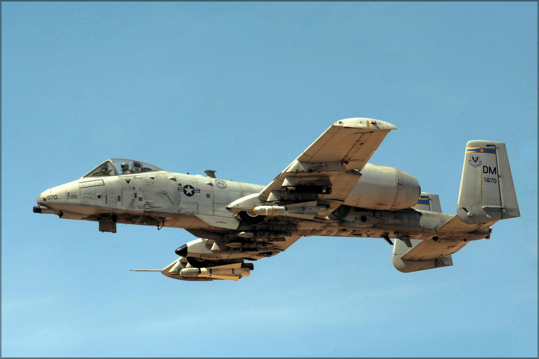 24"x36" Gallery Poster, A-10 Thunderbolt warthog 354th Fighter Squadron