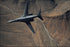 24"x36" Gallery Poster, A B 1B Lancer maneuvers over New Mexico during a training mission