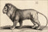 24"x36" Gallery Poster, A lion standing by wenceslaus hollar 1649