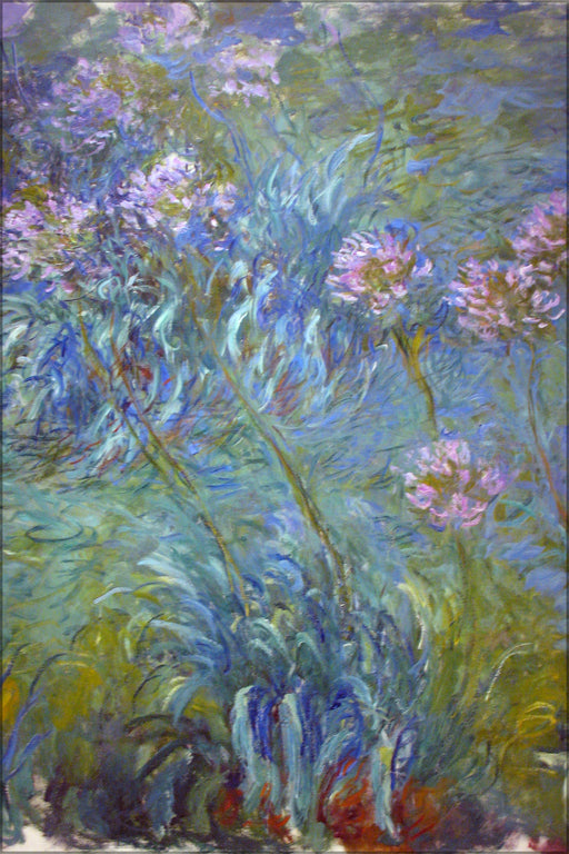 24"x36" Gallery Poster, Agapanthus by claude monet