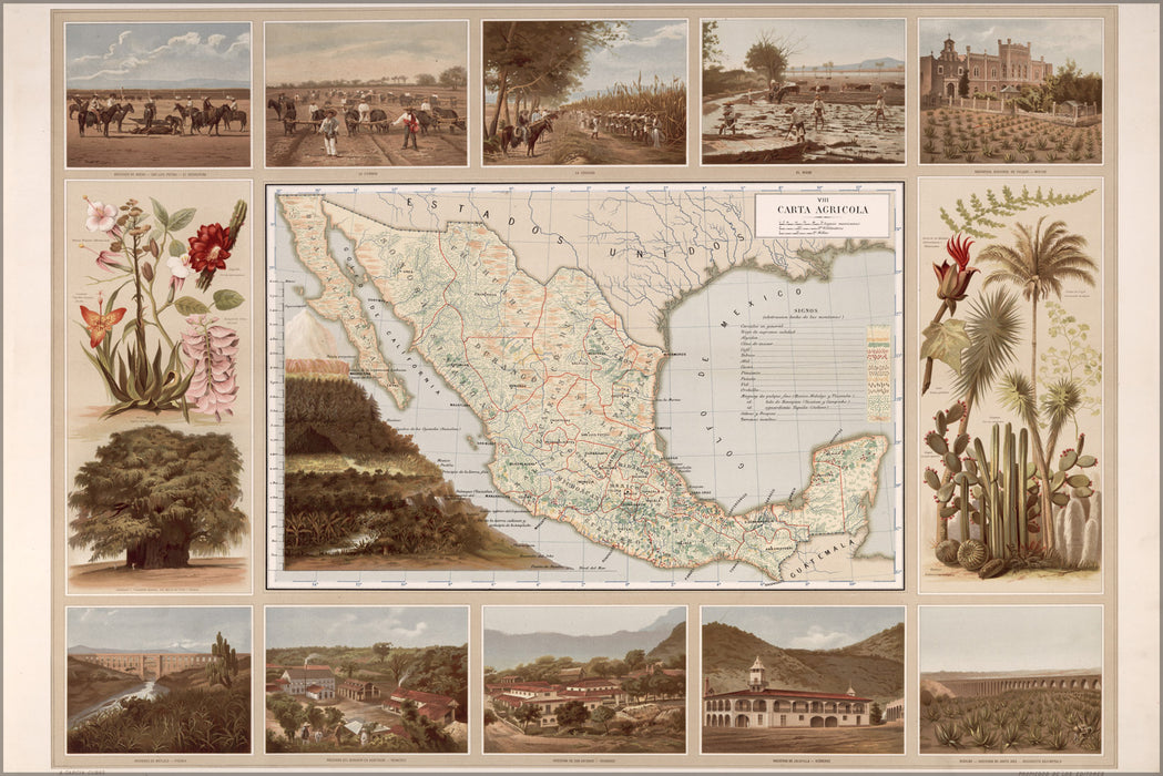 24"x36" Gallery Poster, Agricultural map of mexico 1885