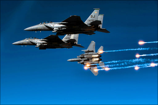 24"x36" Gallery Poster, Air Force F-15E Strike Eagle f-15, 335th Fighter Squadron  Nc 2010