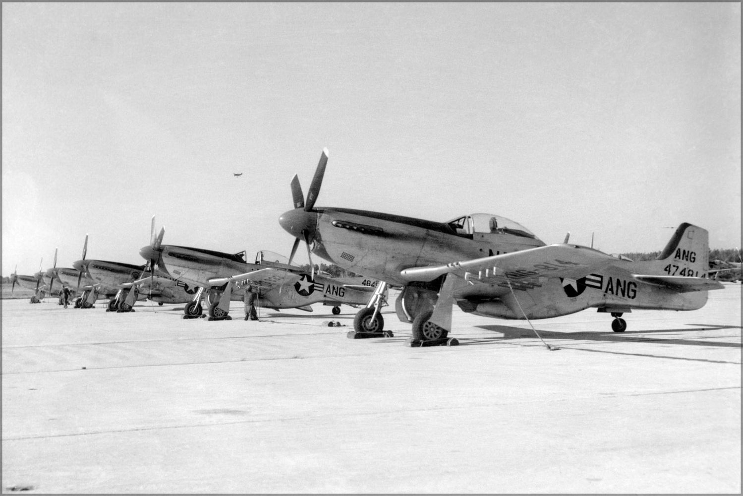 24"x36" Gallery Poster, Air Force F-51D p-51 Mustang Happy Hooligans 1950