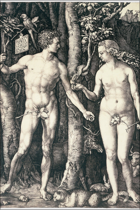 24"x36" Gallery Poster, Albrecht Durer Adam and Eve FQG5 68Yda1JQw