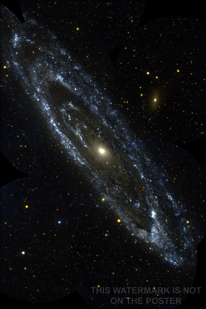24"x36" Gallery Poster, Andromeda Galaxy pictured in ultraviolet light by GALEX