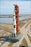 24"x36" Gallery Poster, Apollo 14 saturn v rocket rollout kennedy space center 1970