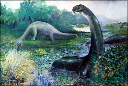 24"x36" Gallery Poster, Brontosaurus (nowadays called Apatosaurus). by charles r. knight c1897