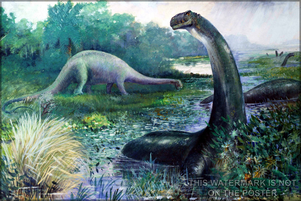 24"x36" Gallery Poster, Brontosaurus (nowadays called Apatosaurus).  charles r. knight