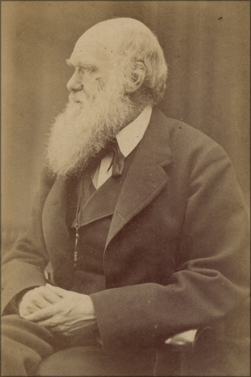 24"x36" Gallery Poster, Charles Darwin photograph by Oscar Rejlander, circa 1871