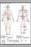 24"x36" Gallery Poster, Chinese or Human Body Meridians for Martial Arts & Medicine