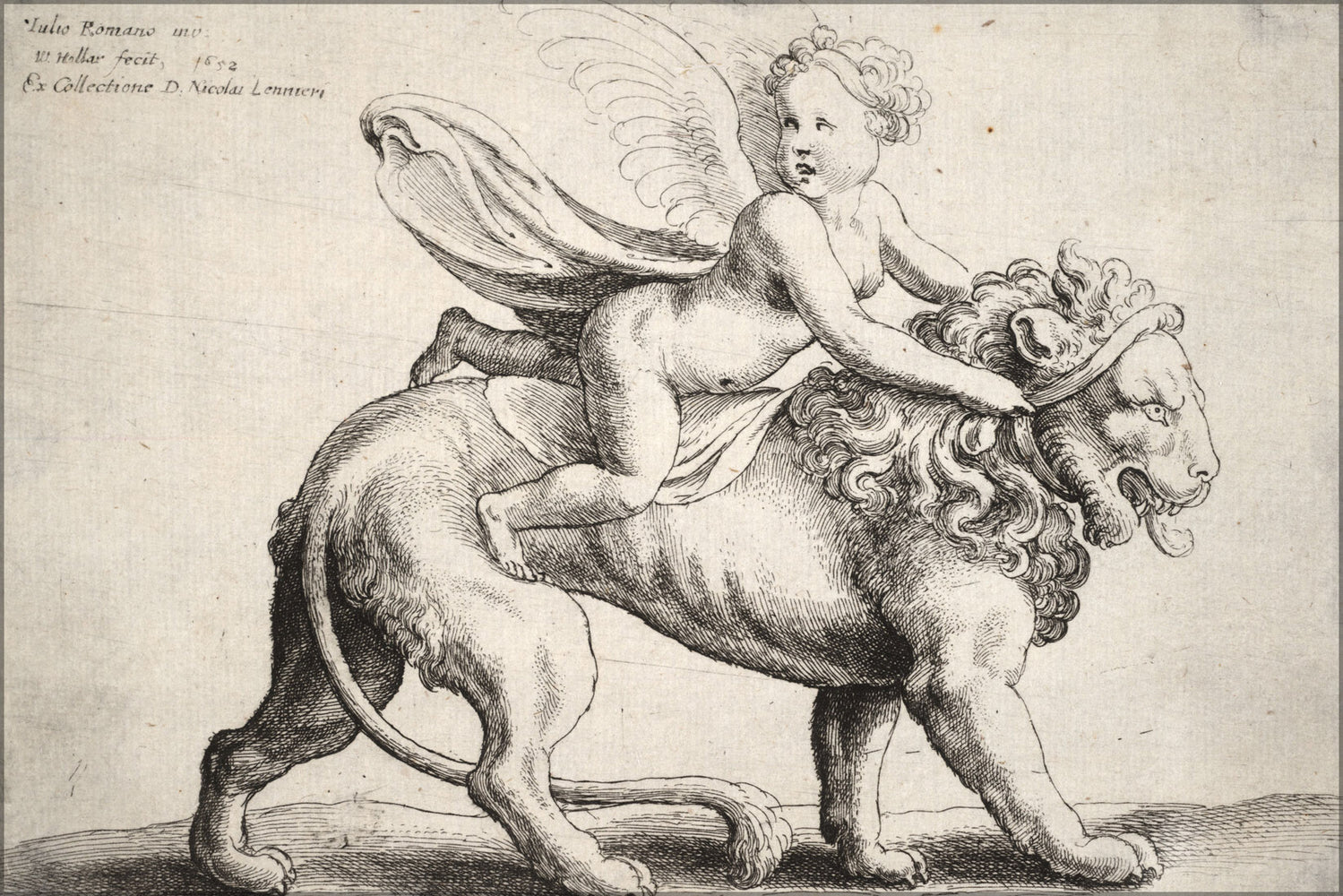24"x36" Gallery Poster, Cupid on a lion, by wenceslaus hollar 17th century