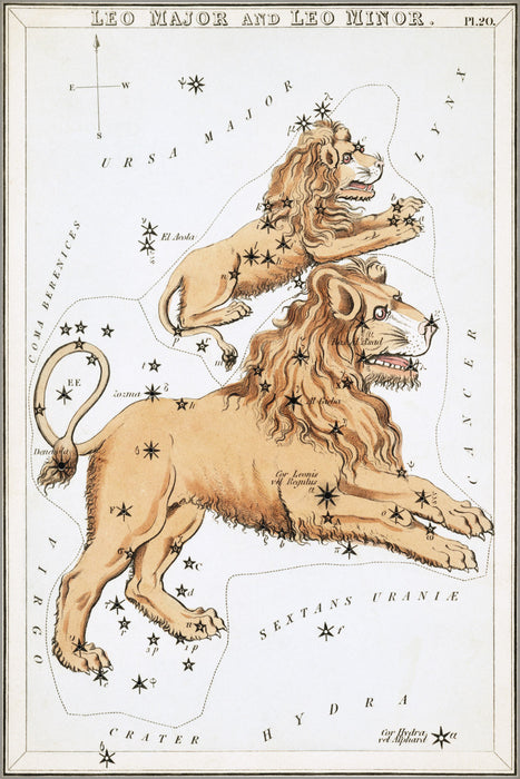 24"x36" Gallery Poster, Leo Major Leo Minor constellation astronomy astrology map 1825