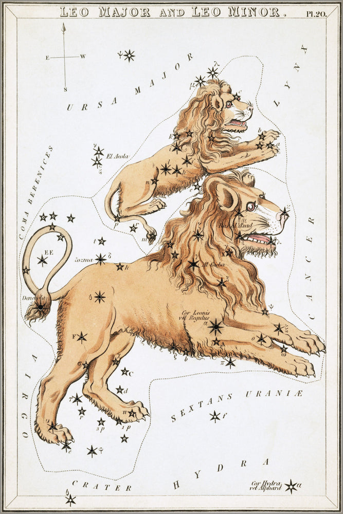 24"x36" Gallery Poster, Leo Major Leo Minor constellation astronomy astrology map 1825