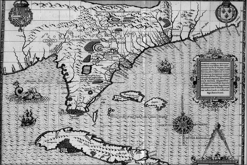 24"x36" Gallery Poster, MAP OF FLORIDA by jacques le Moyne 1591