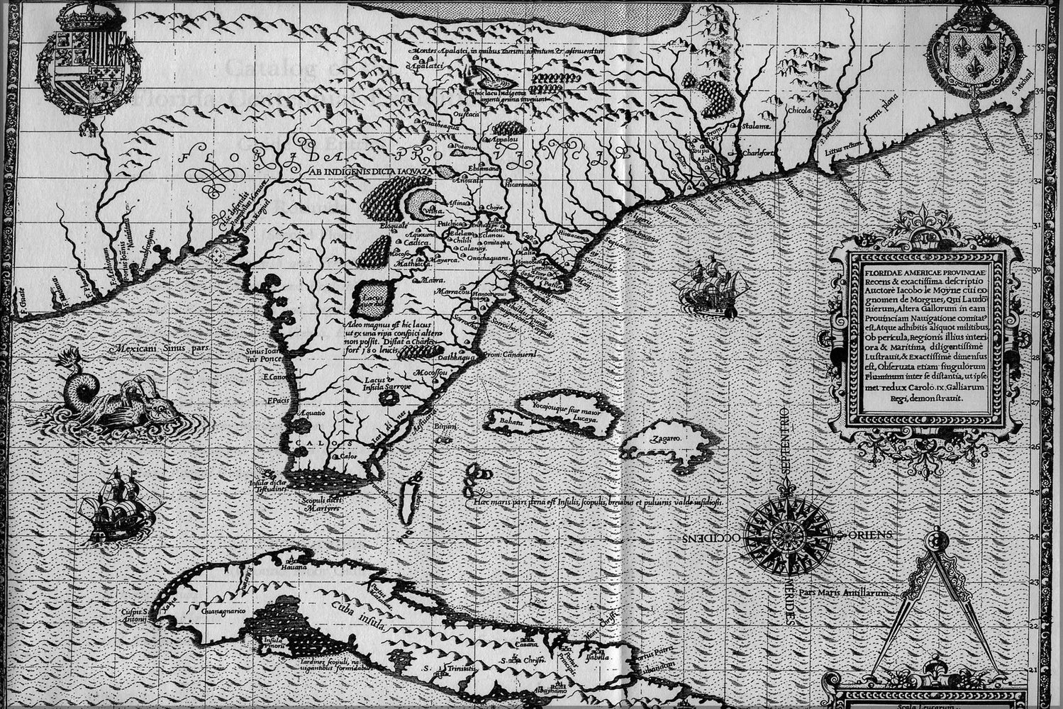 24"x36" Gallery Poster, MAP OF FLORIDA by jacques le Moyne 1591