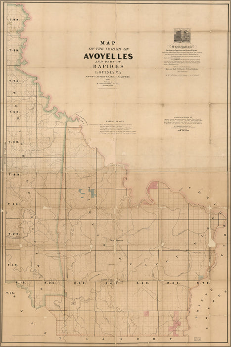 24"x36" Gallery Poster, Map avoyelles Parish & Rapides Louisiana 1860