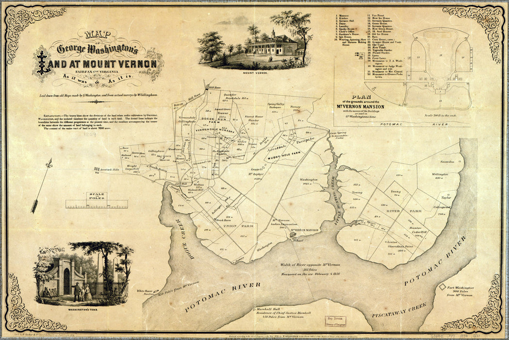 24"x36" Gallery Poster, Map of George Washington land Mount Vernon 1859