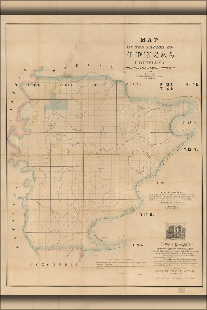 24"x36" Gallery Poster, Map of the Parish of Tensas, Louisiana 1860