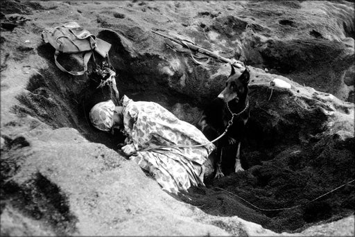 24"x36" Gallery Poster, Marine with war dog on Iwo Jima 1945