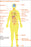 24"x36" Gallery Poster, Medical complications of obesity and being overweight cdc