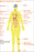 24"x36" Gallery Poster, Medical complications of obesity and being overweight cdc