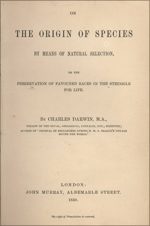 24"x36" Gallery Poster, Origin of Species title page sir charles darwin