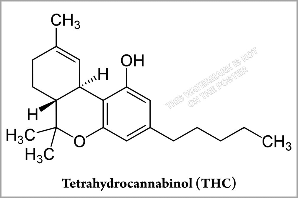 24"x36" Gallery Poster, THC molecule Tetrahydrocannabinol THC Marinol chemical structure