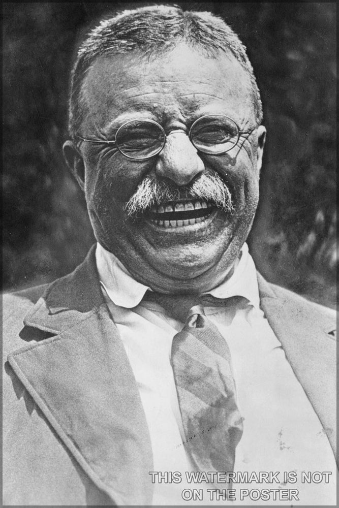 24"x36" Gallery Poster, Theodore Roosevelt laughing