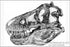 24"x36" Gallery Poster, Tyrannosaurus rex skull