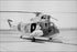 24"x36" Gallery Poster, U.S. Coast Guard Sikorsky HH-52A Seaguard helicopter h-52