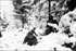 24"x36" Gallery Poster, battle of the bulge 290th Regiment fight in fresh snowfall near Amonines, Belgium battle of the bulge jan 4 1945