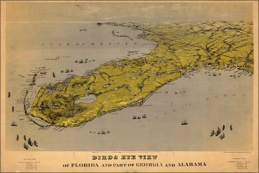24"x36" Gallery Poster, birdseye view map of Florida 1861