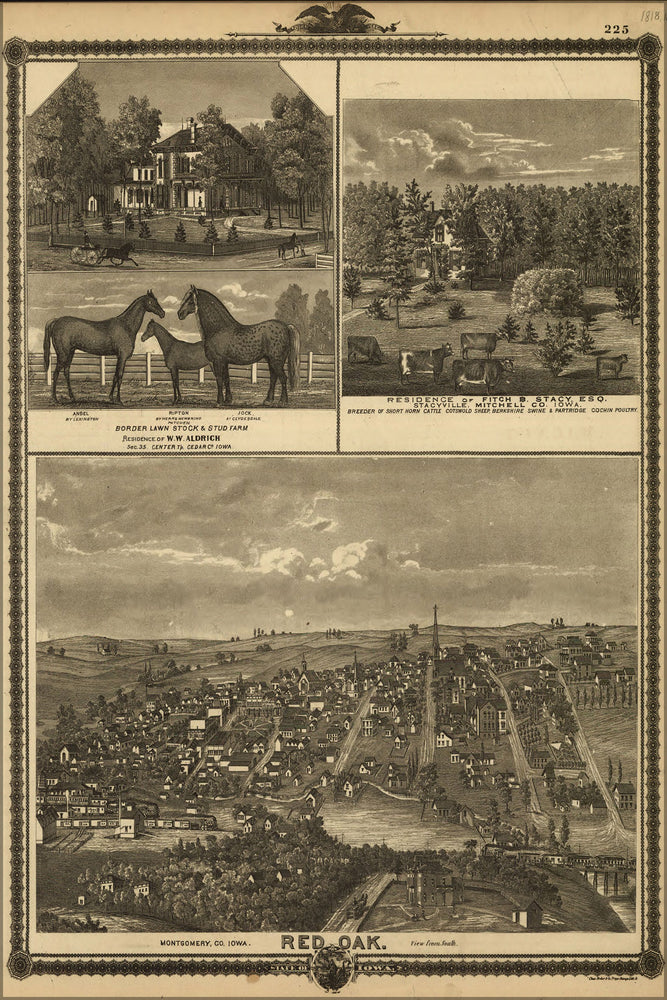 24"x36" Gallery Poster, birdseye view map of red oak iowa