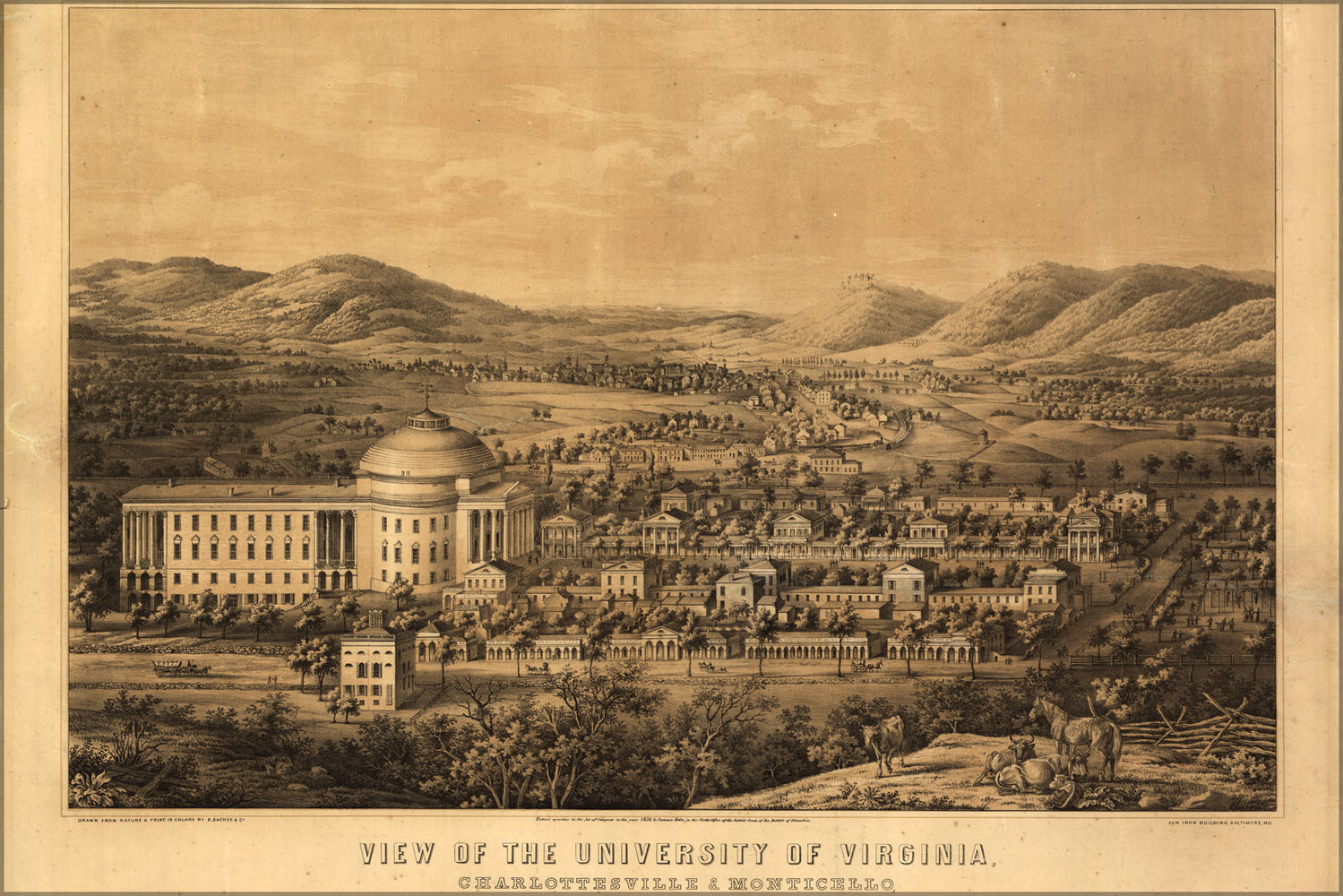 24"x36" Gallery Poster, birdseye view map of the University of Virginia, Charlottesville & Monticello, taken from Lewis Mountain 1856