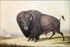 24"x36" Gallery Poster, bull buffalo George Catlin's painting of a bull buffalo. c1846