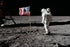 24"x36" Gallery Poster, buzz aldrin salutes american flag apollo 11