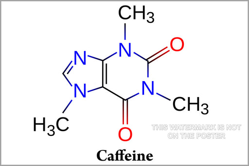 24"x36" Gallery Poster, caffeine molecule diagram