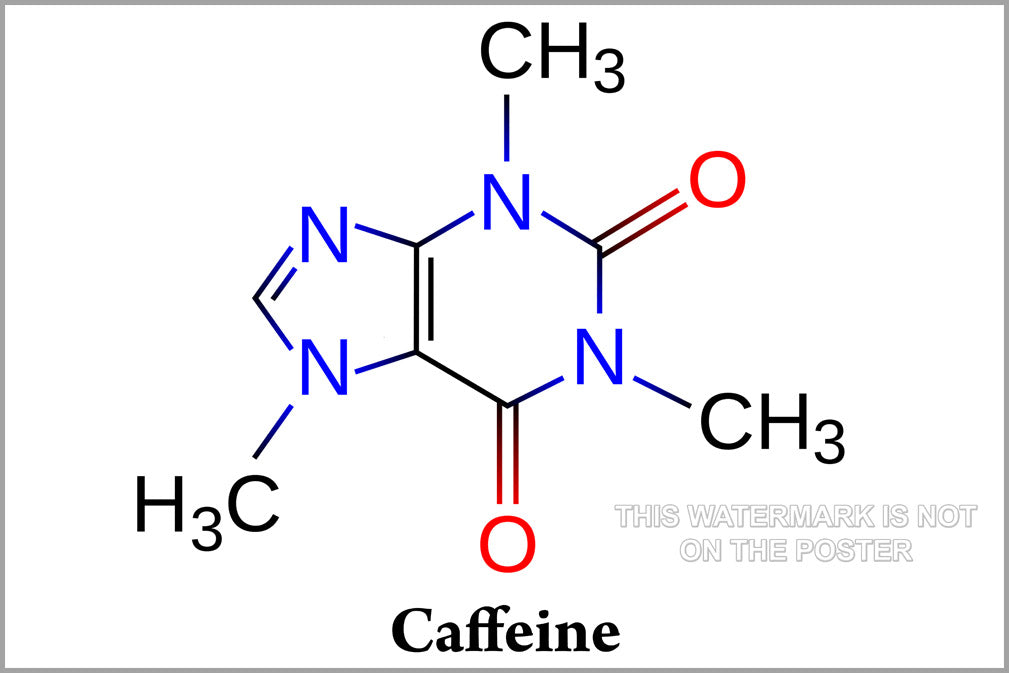 24"x36" Gallery Poster, caffeine molecule diagram