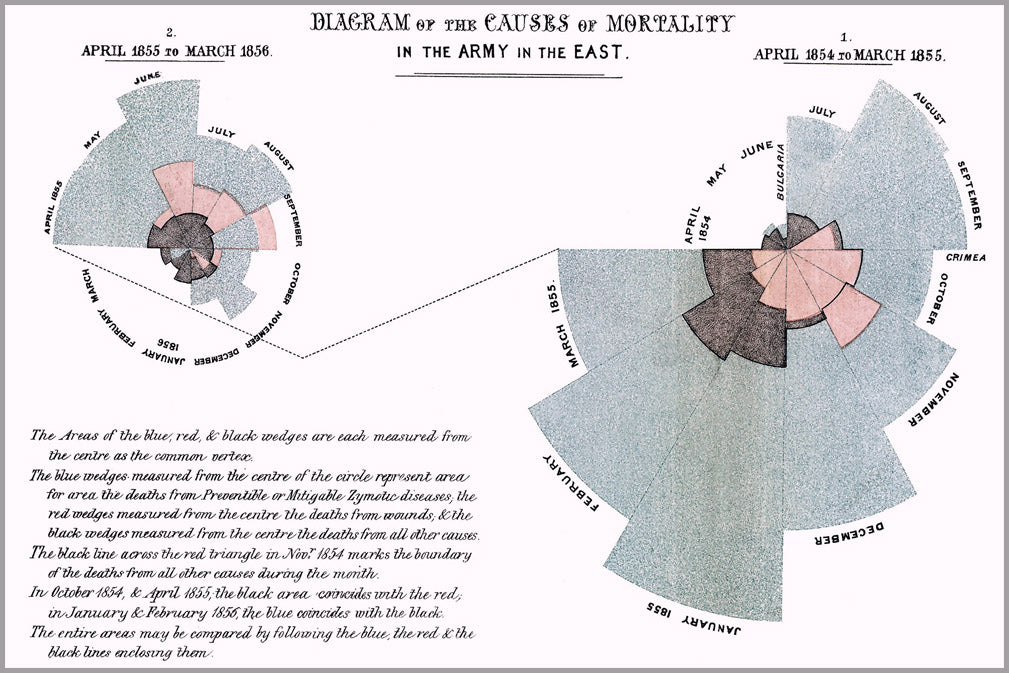 24"x36" Gallery Poster, causes of mortality in the army in the East by Florence Nightingale
